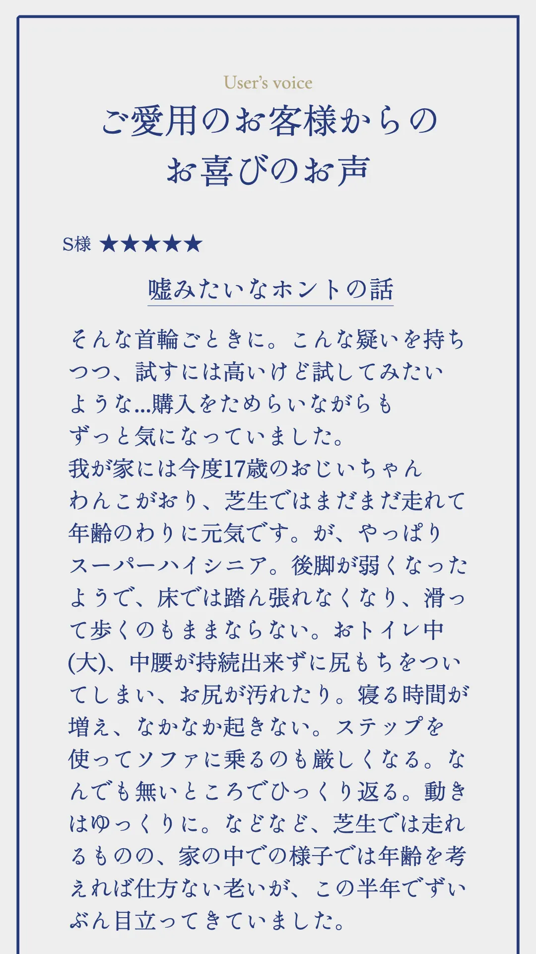 TUNERSアニマル 期間限定セール