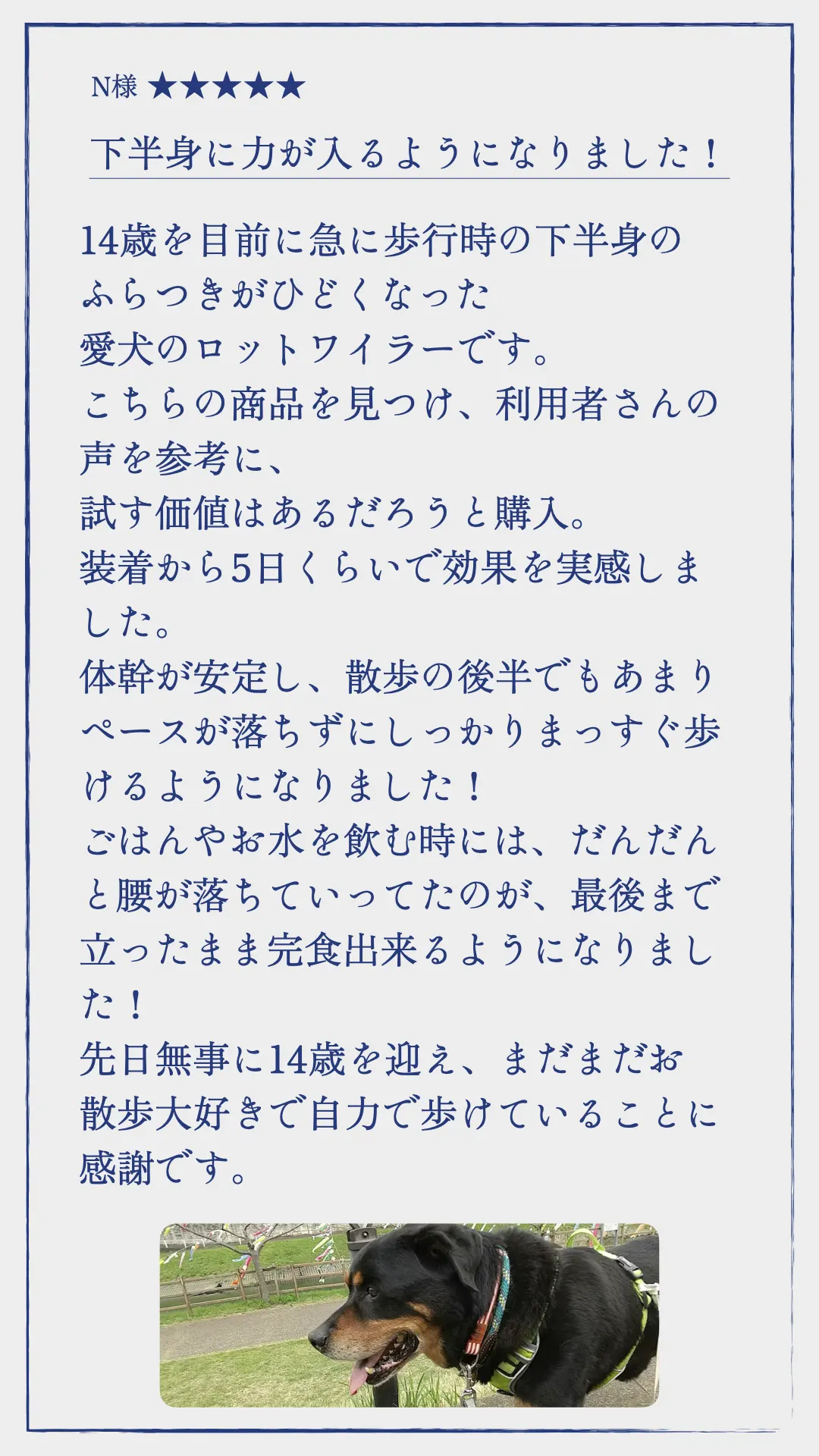 TUNERSアニマル 使い方・サイズ