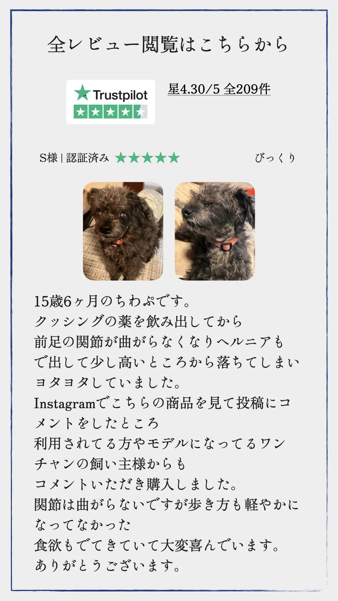 TUNERSアニマル ご購入・保証