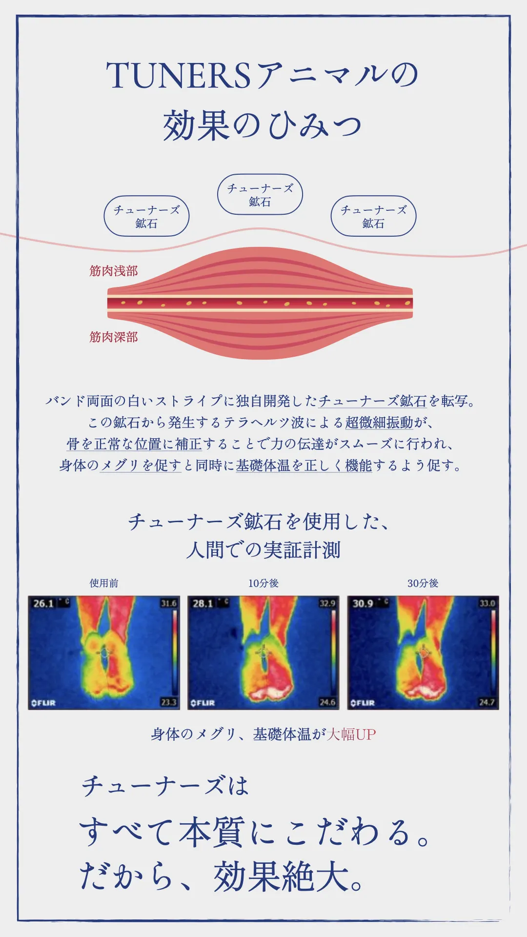TUNERSアニマル 追加情報