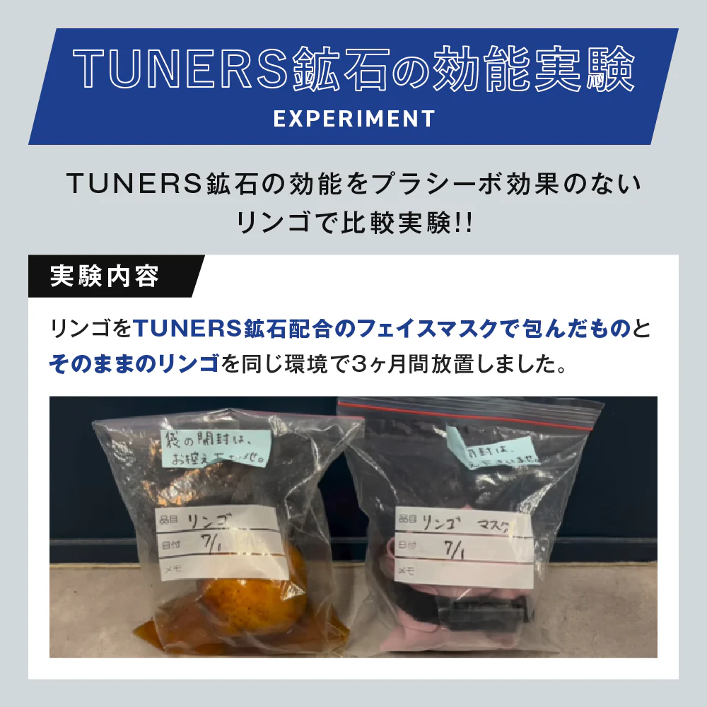 実験開始：2つのジップ袋に入れたリンゴ（リンゴのみ／リンゴ＋鉱石）
