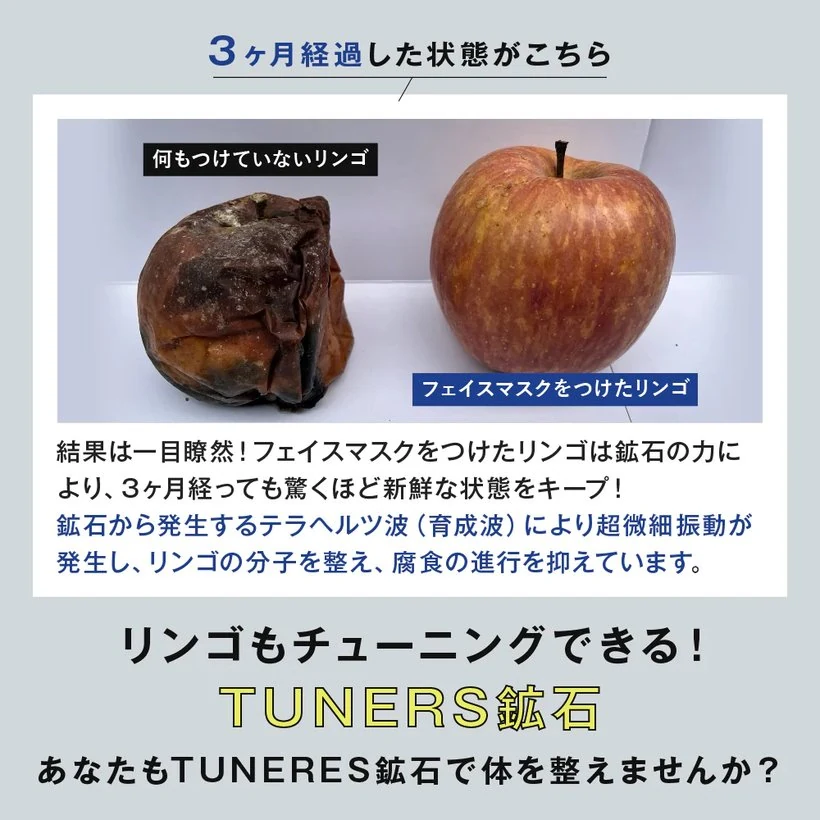 3ヶ月経過後:左=何もつけていないリンゴ(腐敗)/右=フェイスマスクをつけたリンゴ(新鮮)