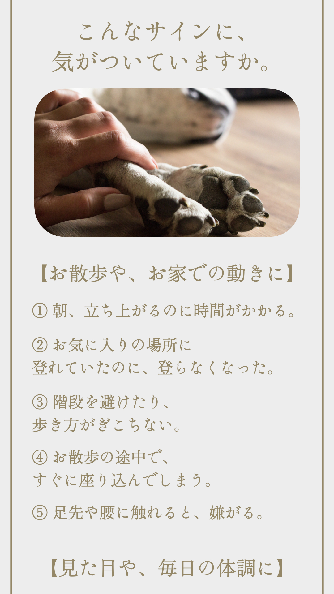 TUNERSアニマルパウダー 愛犬の健康サポート