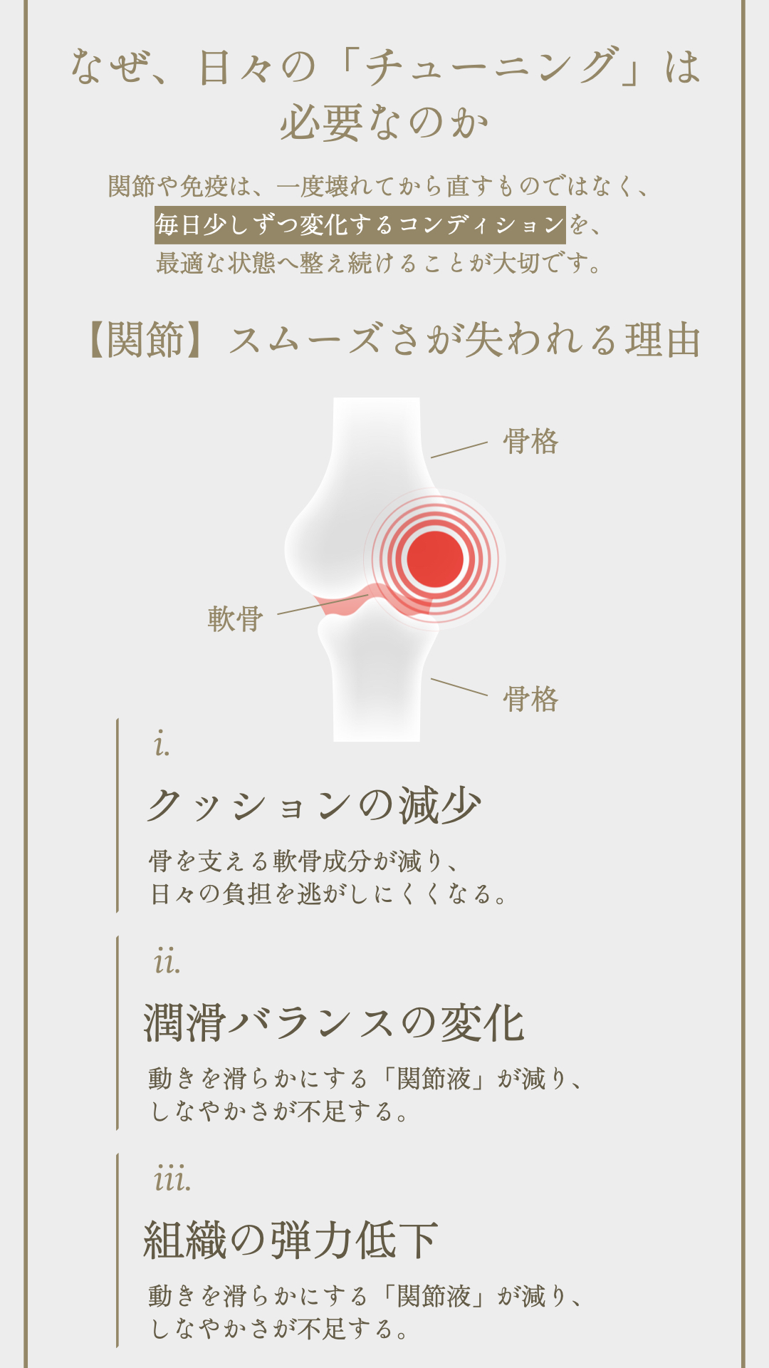 TUNERSアニマルパウダー お客様の体験談