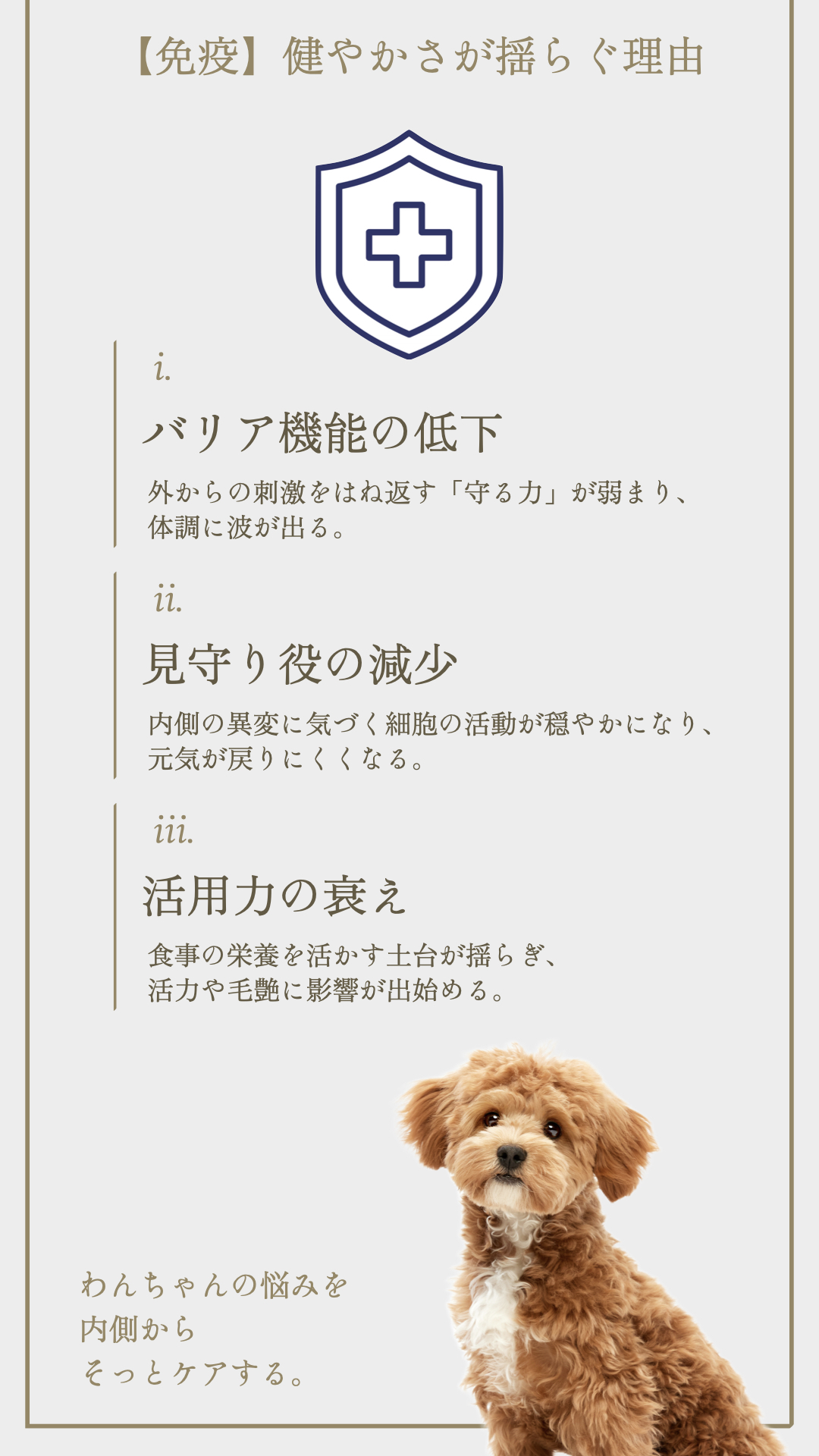 TUNERSアニマルパウダー 実証データ