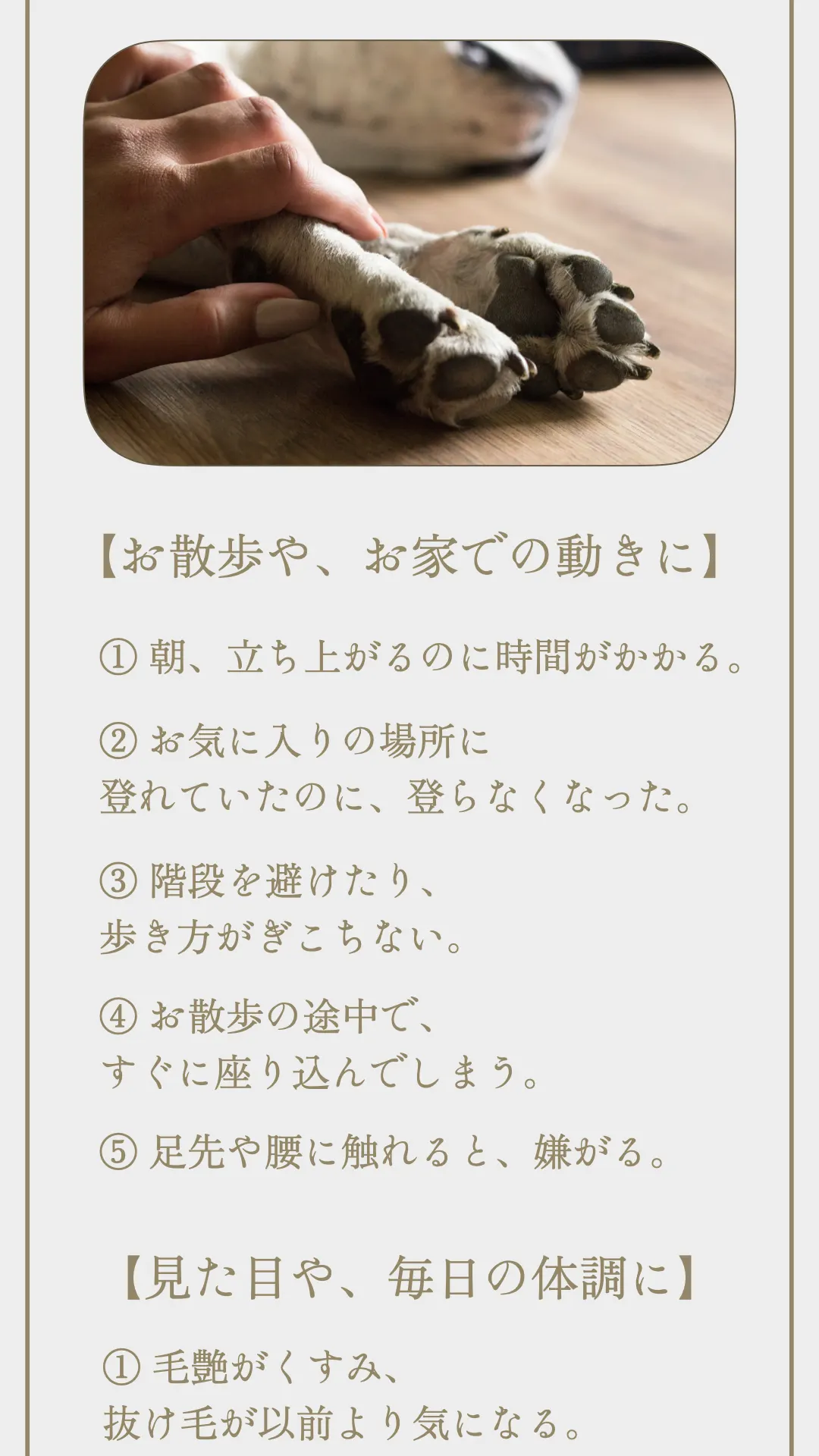 TUNERS ANIMAL トータルケアセット 014