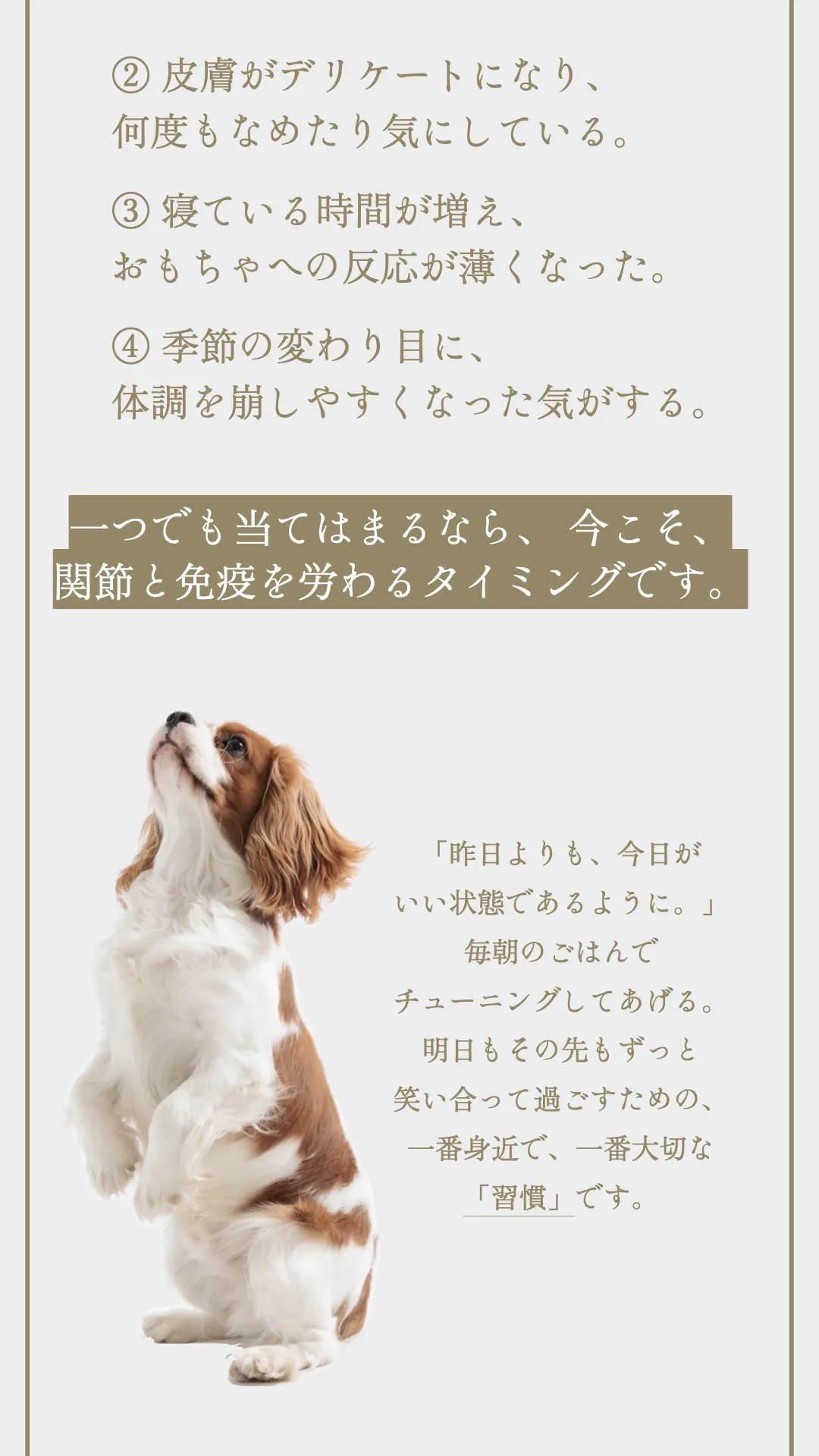 TUNERS ANIMAL トータルケアセット 015