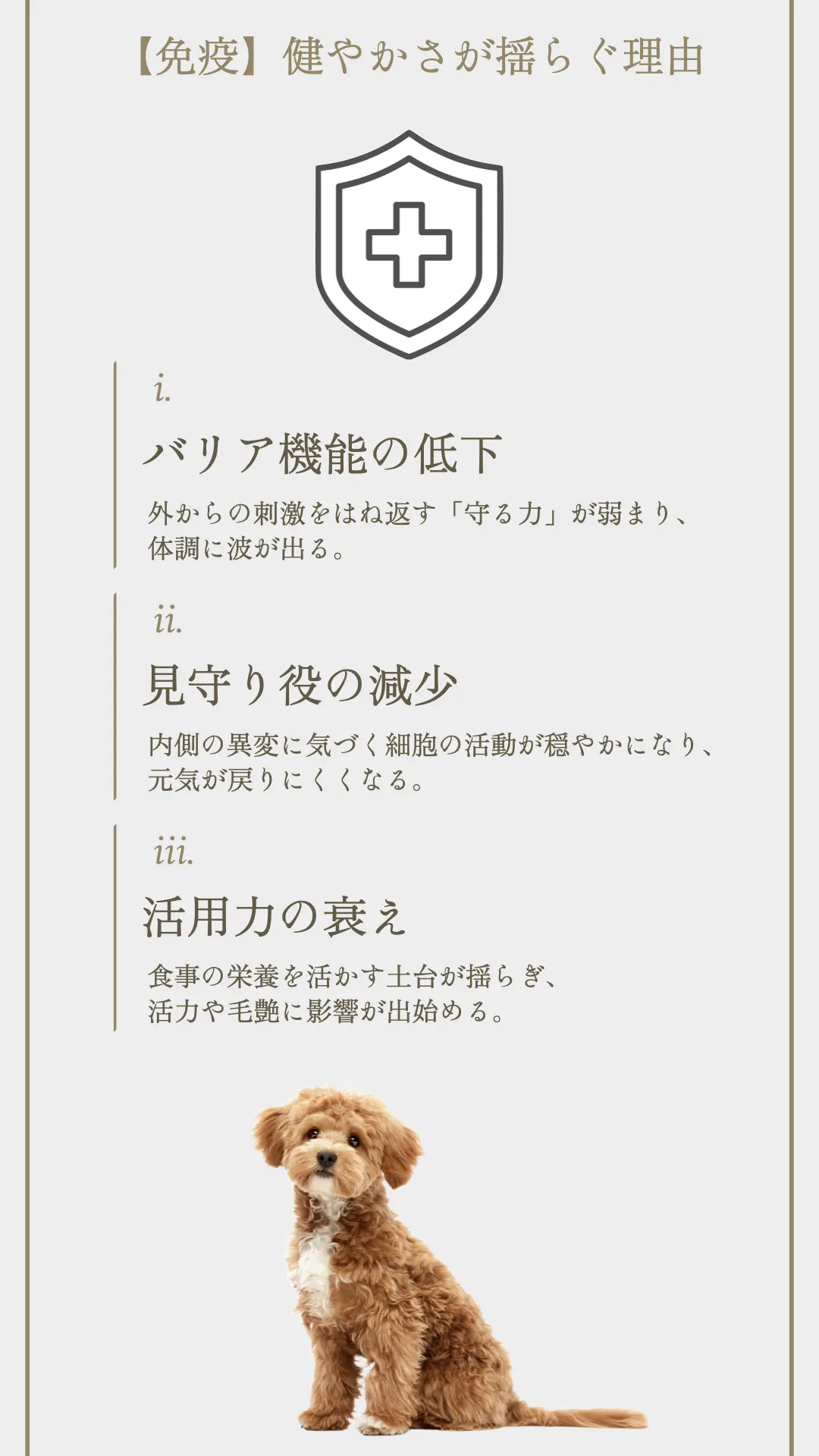 TUNERS ANIMAL トータルケアセット 017