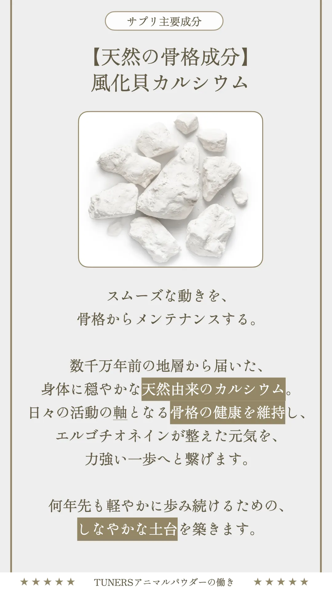 TUNERS ANIMAL トータルケアセット 019